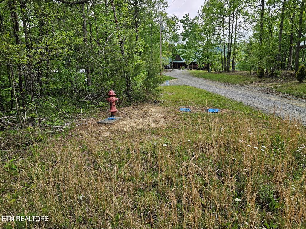 35309 Highland Rdg Trail Crawford, TN 38554 - Photo 7 of 16 218793_7