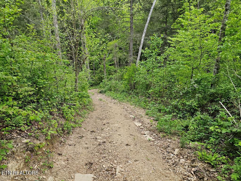 35309 Highland Rdg Trail Crawford, TN 38554 - Photo 9 of 16 218793_10