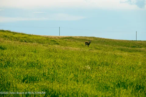 $9,500,000 | 841 Recluse Road, Recluse, WY 82725