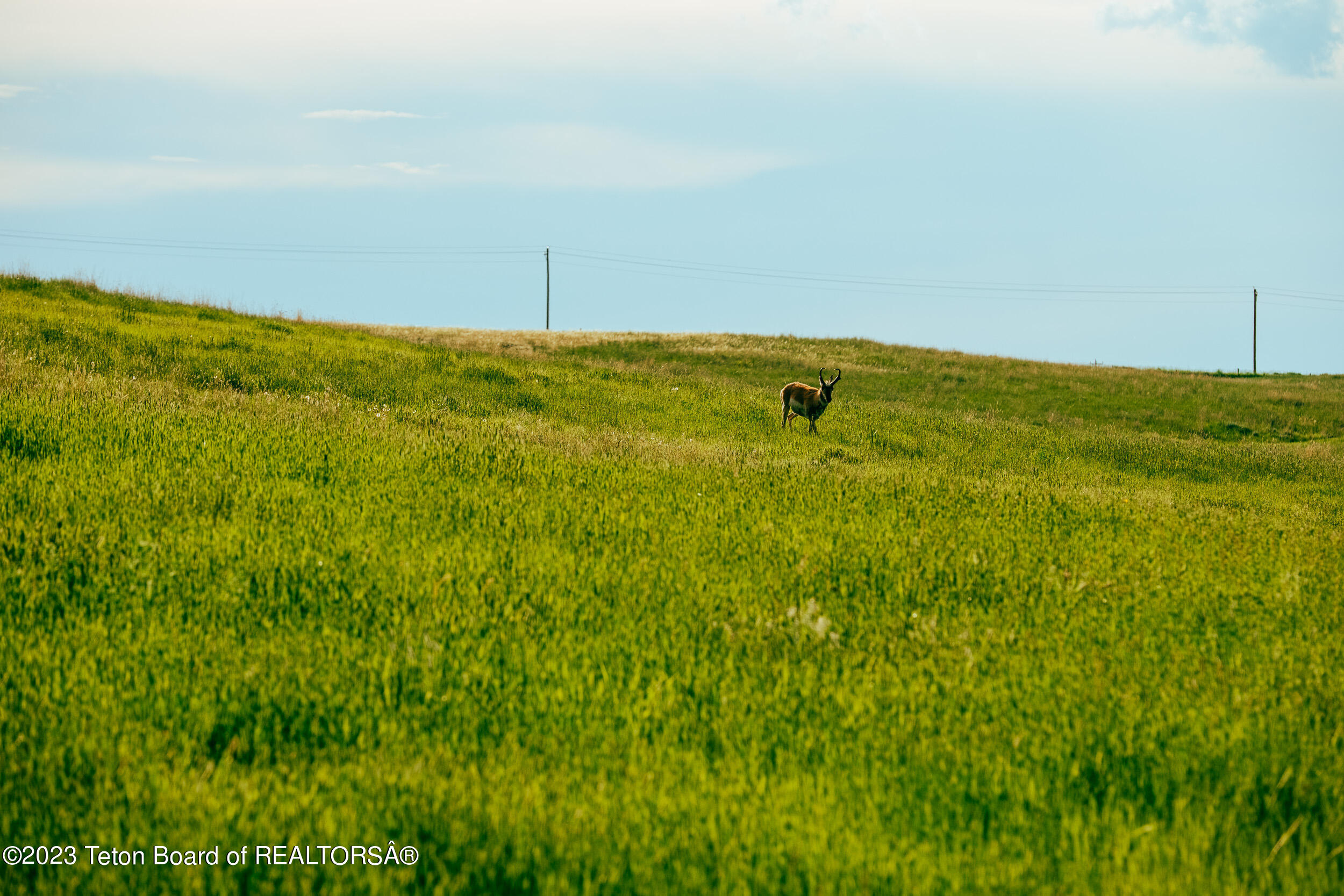 841 Recluse Road Recluse, WY 82725 - Photo 35 of 47 DSCF0085