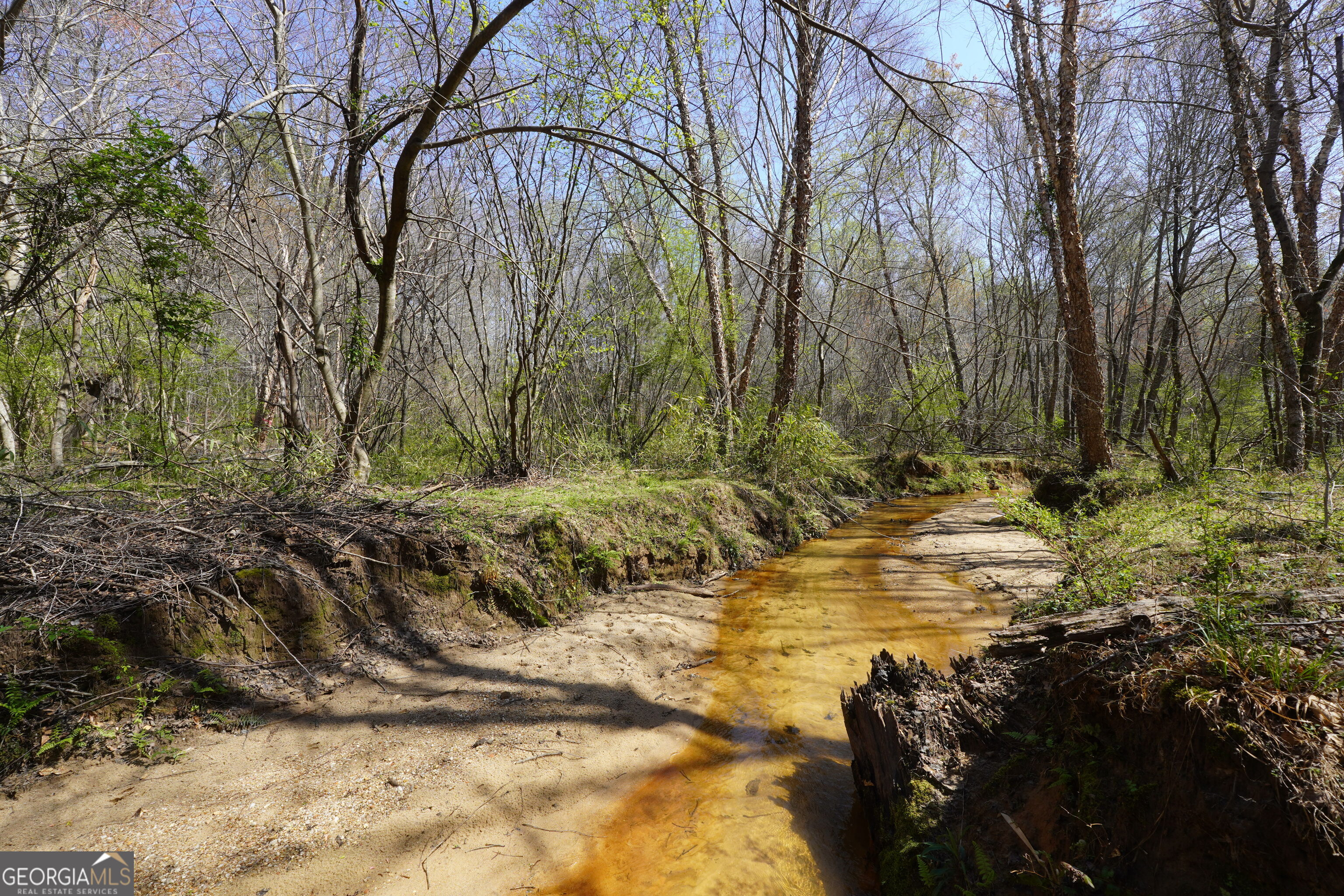 795 Silver Dollar Road Milner, GA 30257 - Photo 44 of 53