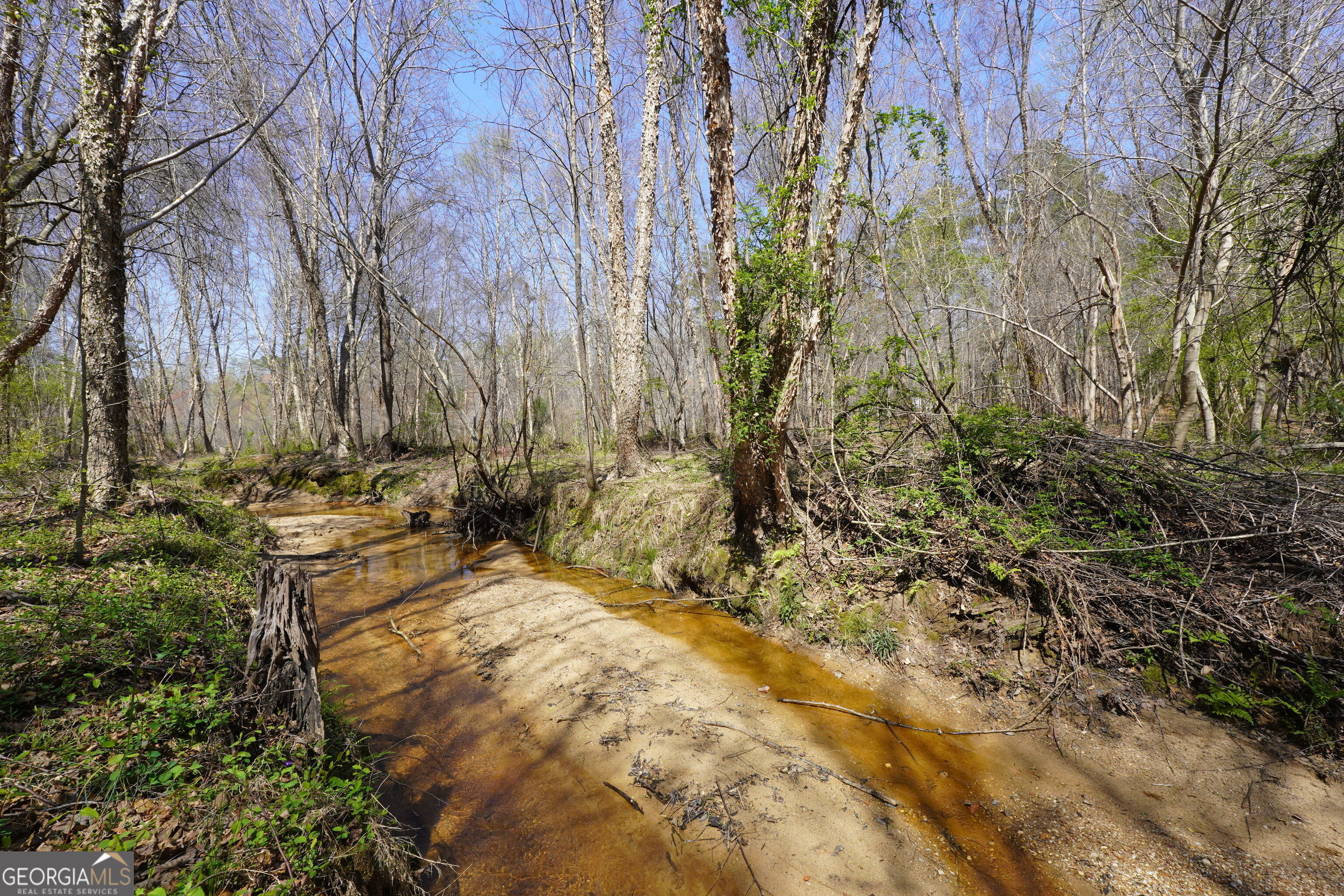 795 Silver Dollar Road Milner, GA 30257 - Photo 45 of 53