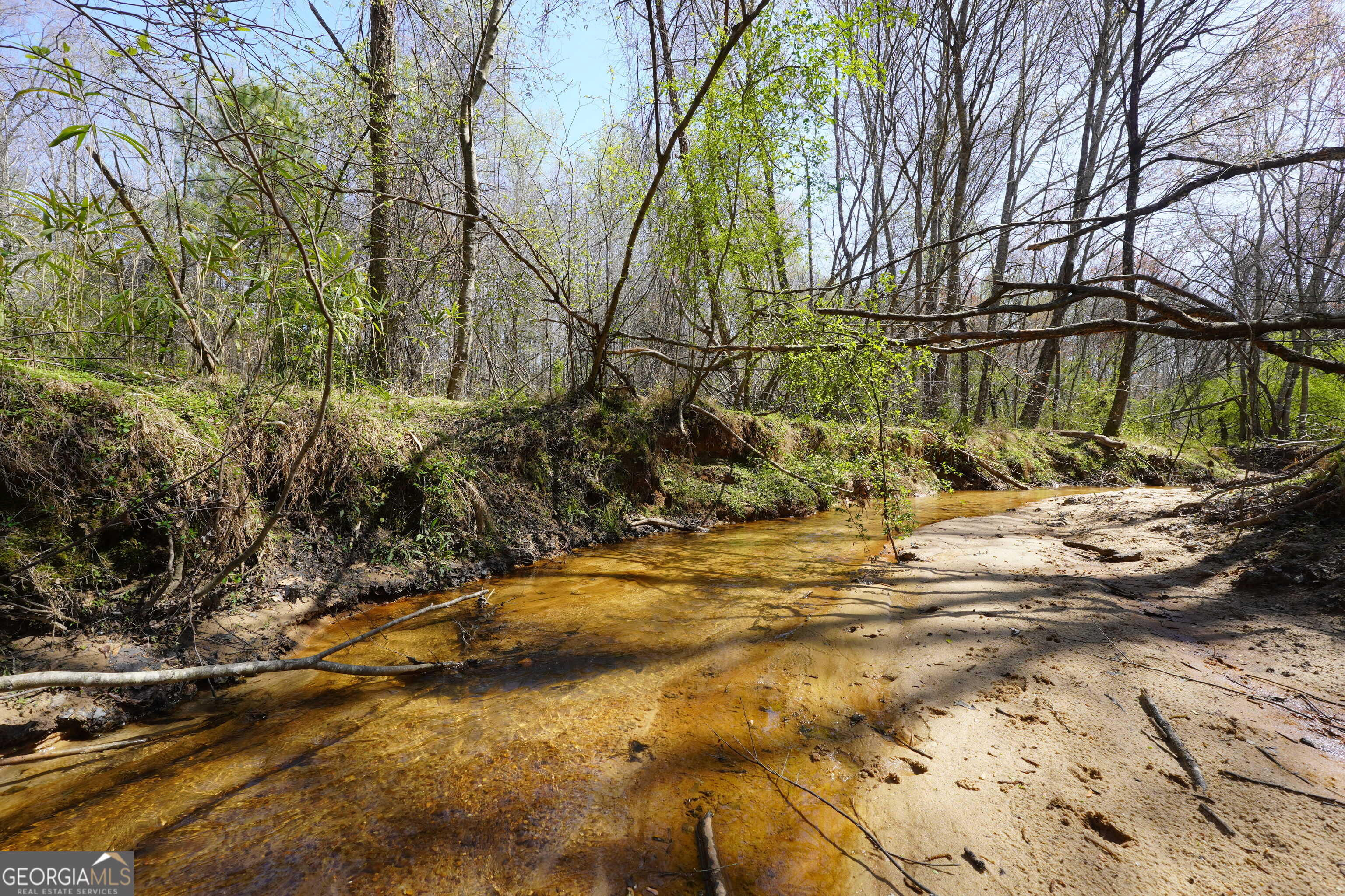795 Silver Dollar Road Milner, GA 30257 - Photo 47 of 53