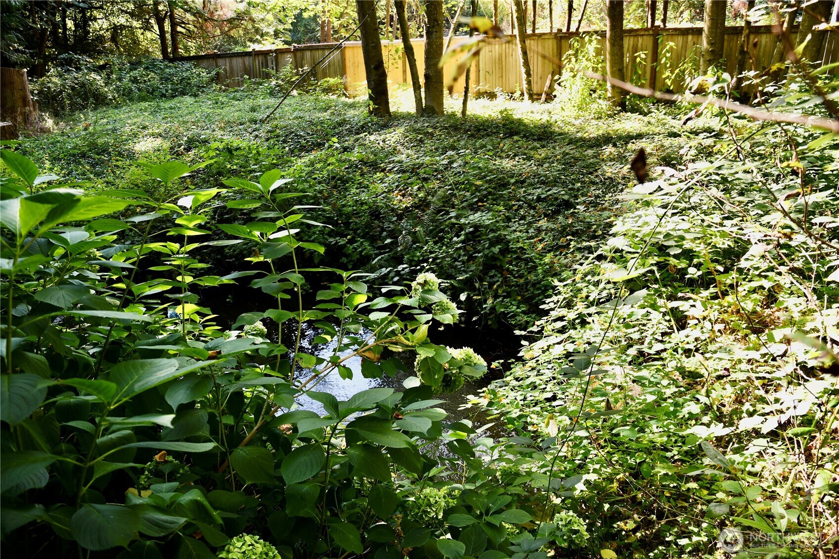 4117 117th Avenue Northeast Kirkland, WA 98033 - Photo 25 of 26