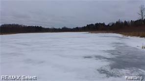 A2 Hartland Road Fenton, MI 48430 - Photo 4 of 6