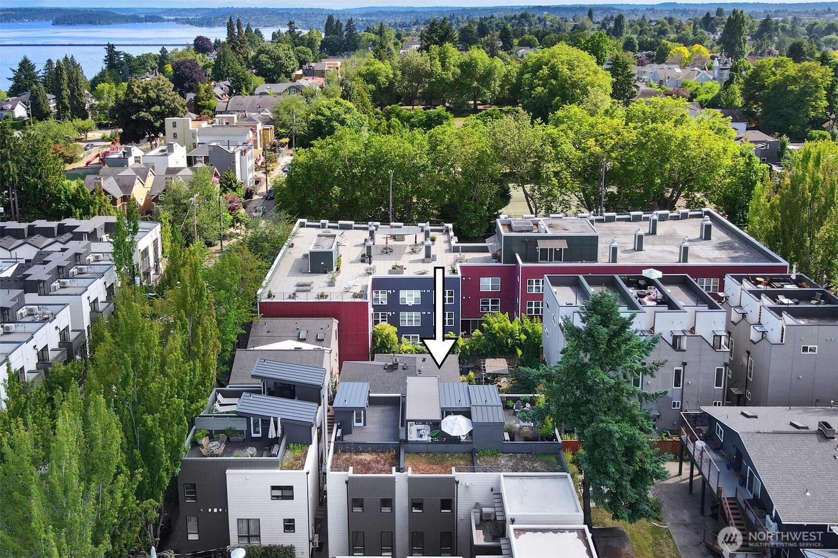 1117 34th Avenue, Unit B Seattle, WA 98122 - Photo 7 of 39