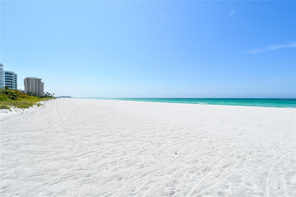 775 Longboat Club Road, Unit 807 Longboat Key, FL 34228 - Photo 61 of 71 Gallery Image 61