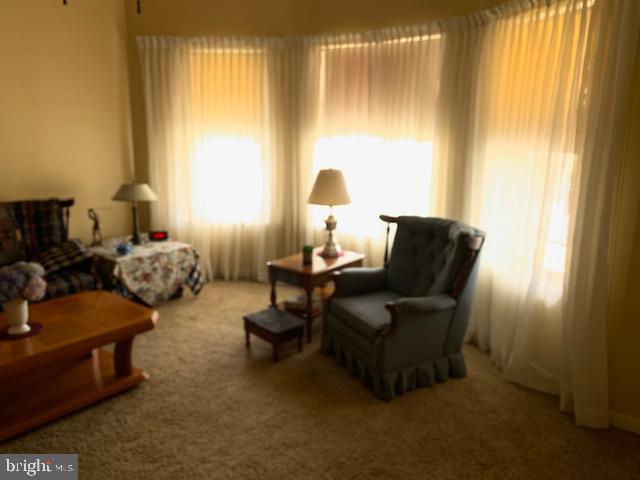 39 Philadelphia Avenue Reading, PA 19607 - Photo 23 of 32 Living room showing 3 windows