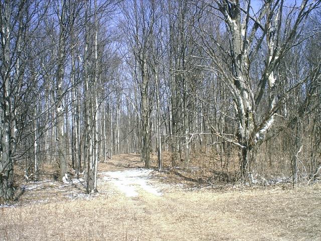 Off Off Doerr Road Mancelona, MI 49659 - Photo 1 of 9 1844344.JPG
