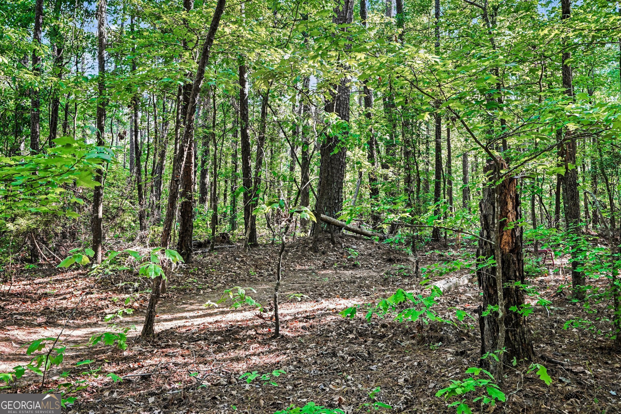0 Ham Road Jackson, GA 30233 - Photo 2 of 20 a backyard of a house with lots of green space