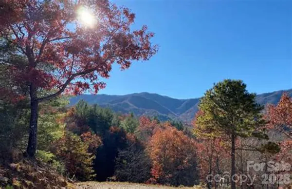 a view of a house with a mountain in the background