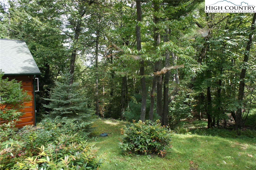 150 Merrywether Lane Boone, NC 28607 - Photo 3 of 31