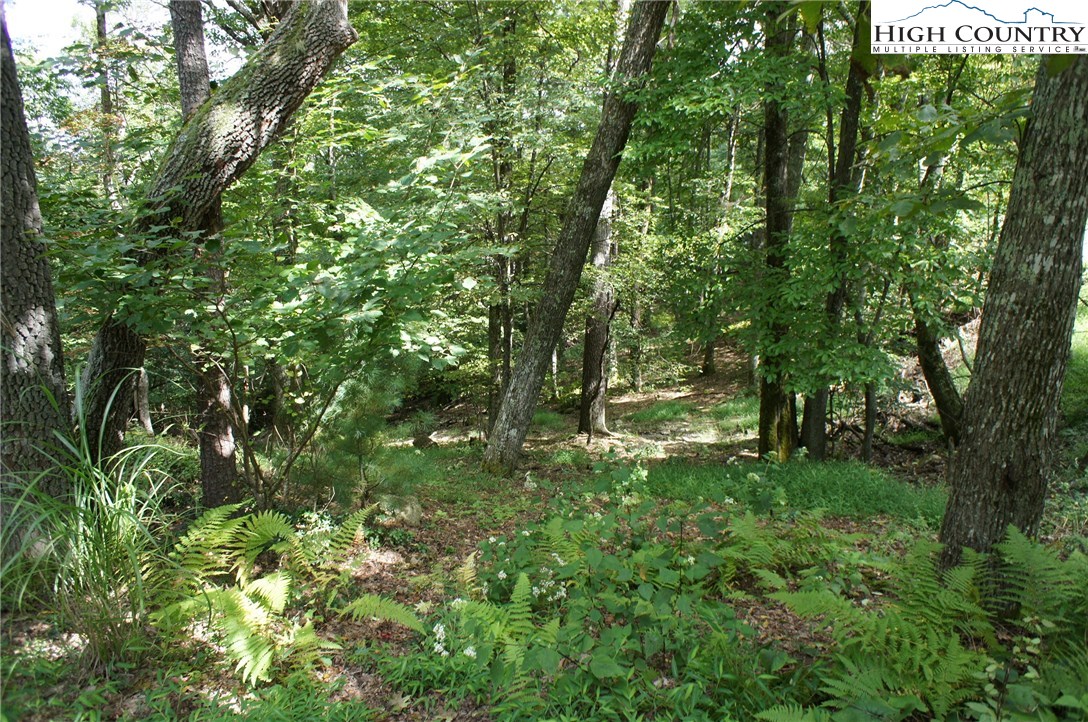 150 Merrywether Lane Boone, NC 28607 - Photo 4 of 31