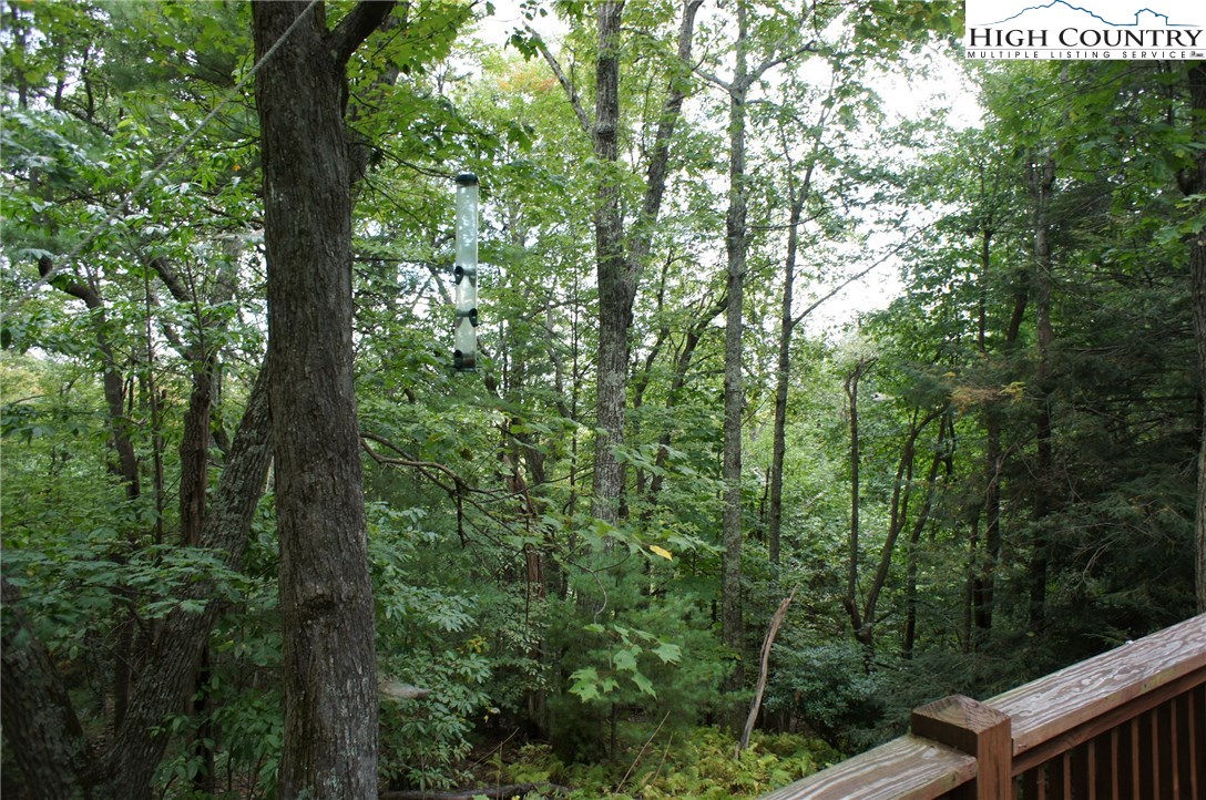 150 Merrywether Lane Boone, NC 28607 - Photo 7 of 31