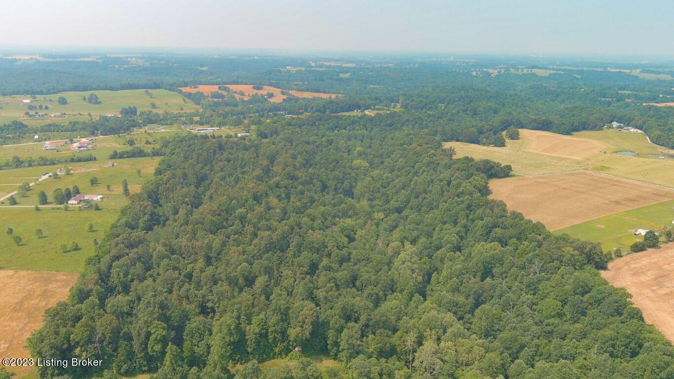0 Morrison Road Big Clifty, KY 42712 - Photo 10 of 27 Big Clifty-10