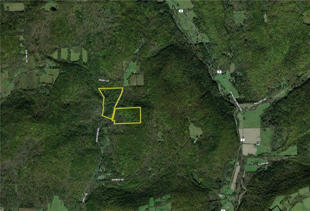 1188 Braybrook Road Chemung, NY 14861 - Photo 44 of 45