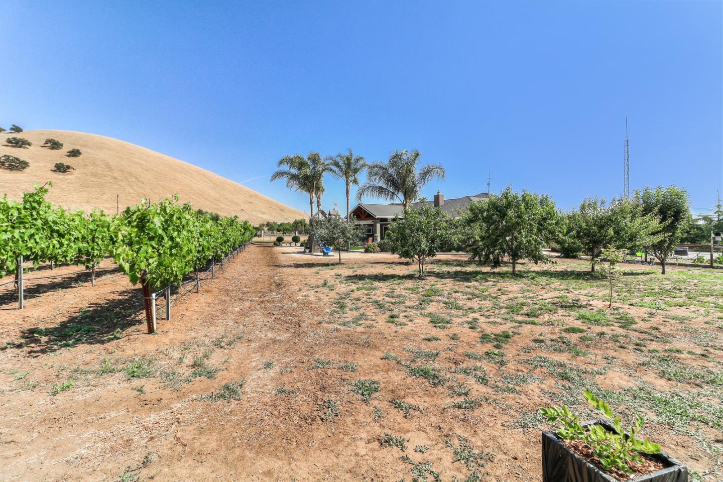 1700 Spring Grove Road Hollister, CA 95023 - Photo 30 of 36 Gallery Image 30