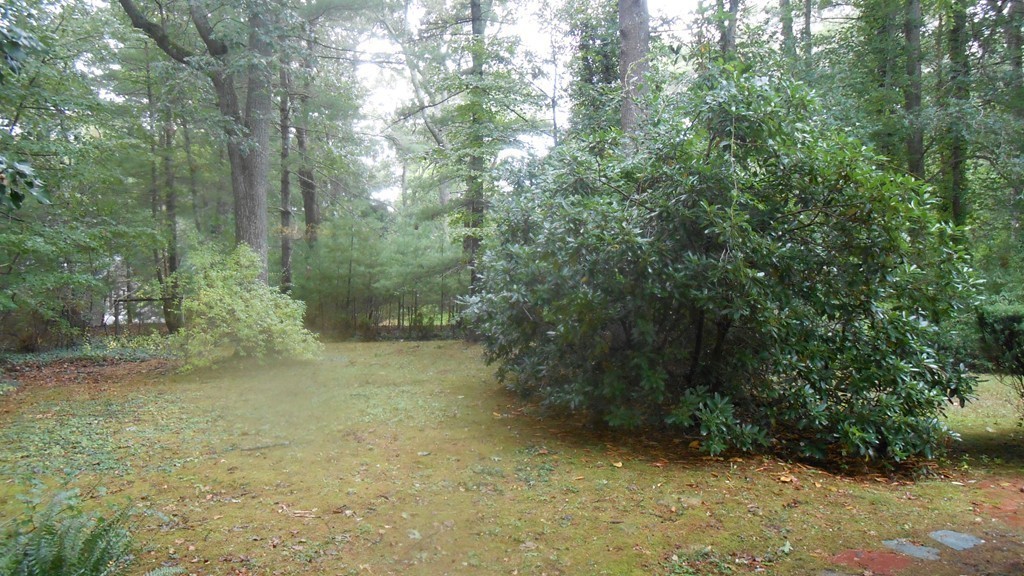 54 Old Colony Road Duxbury, MA 02332 - Photo 4 of 20 Gallery Image 4
