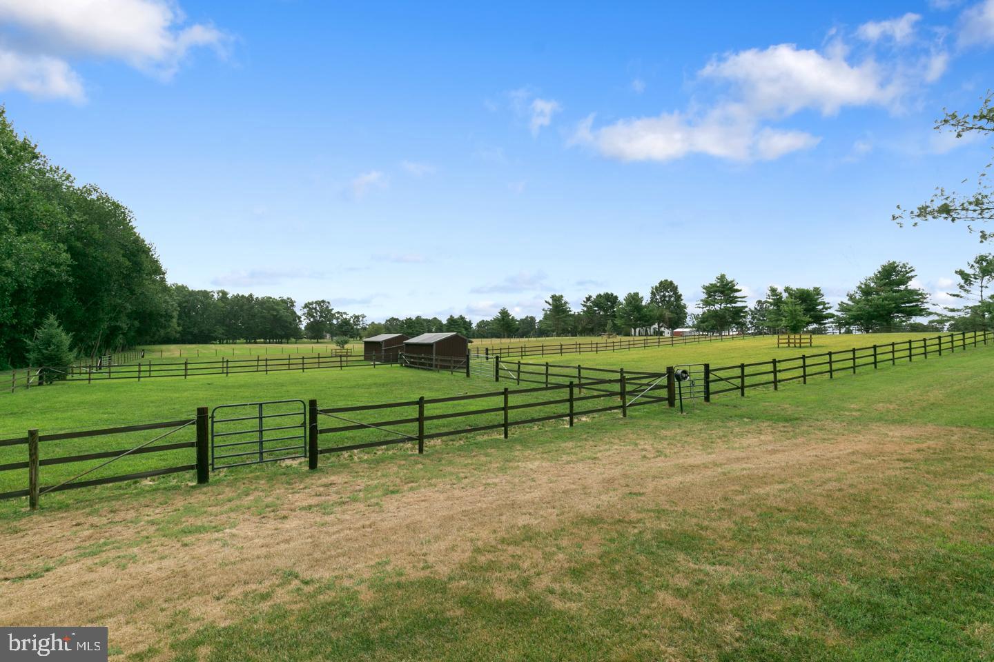 34 Cream Ridge Road Salem, NJ 08079 - Photo 38 of 41 Paddocks and Run-in Sheds