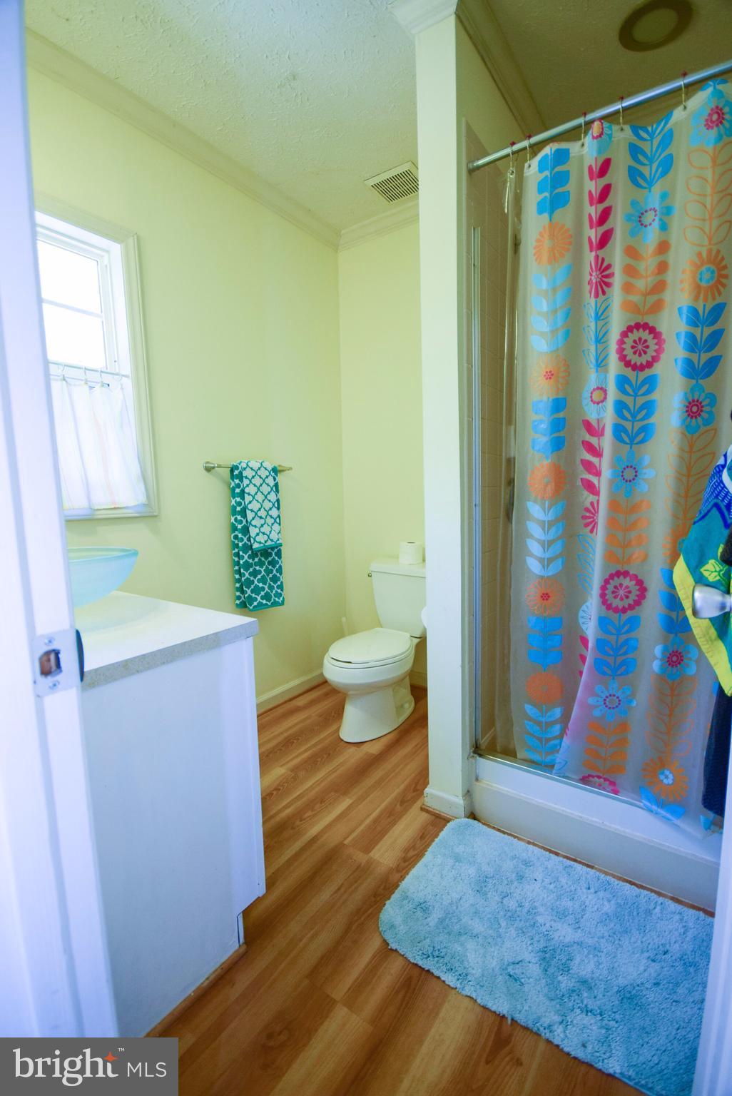 12524 Tower Hill Road Midland, VA 22728 - Photo 14 of 30 Bath (Master)