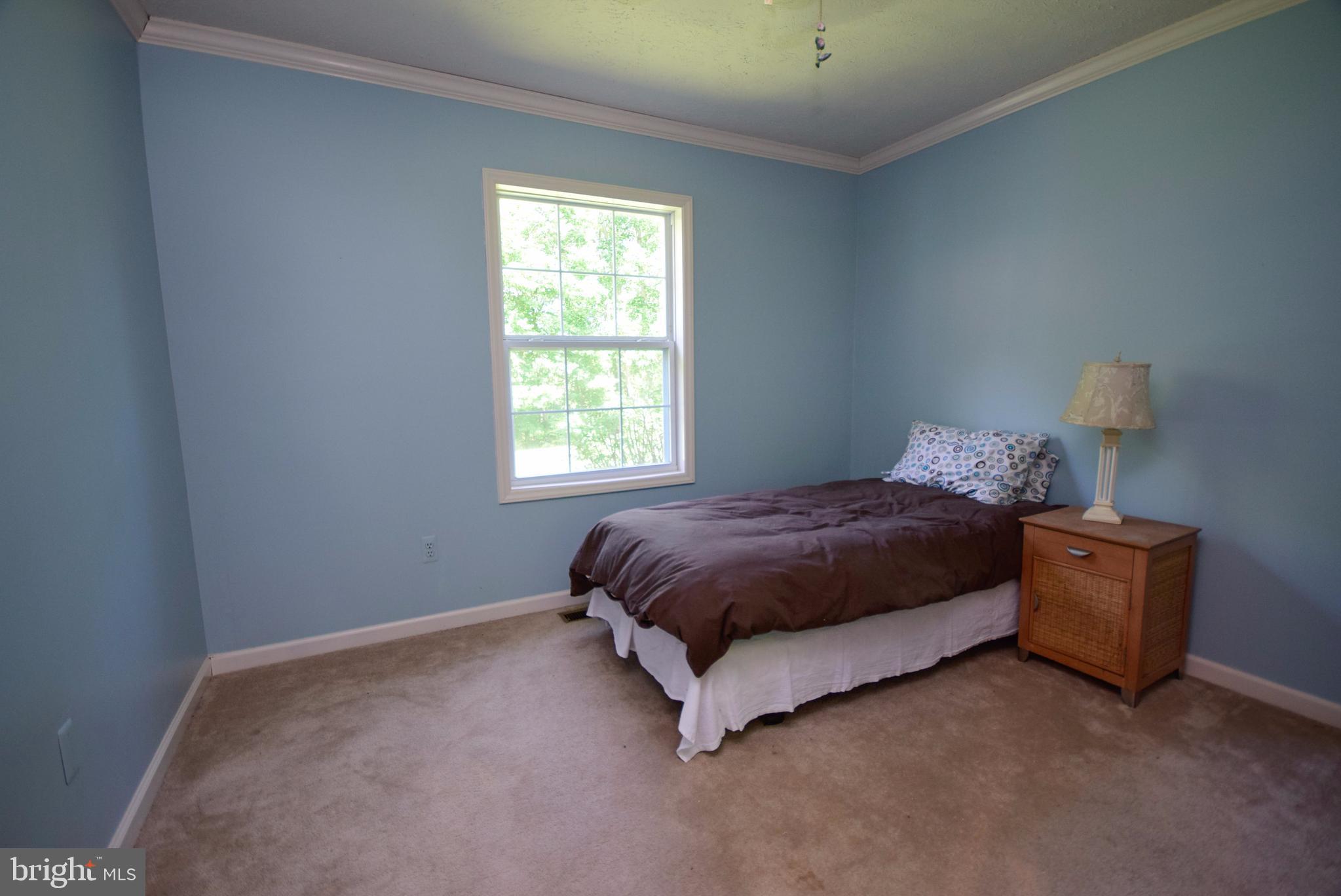 12524 Tower Hill Road Midland, VA 22728 - Photo 23 of 30 Bedroom 2