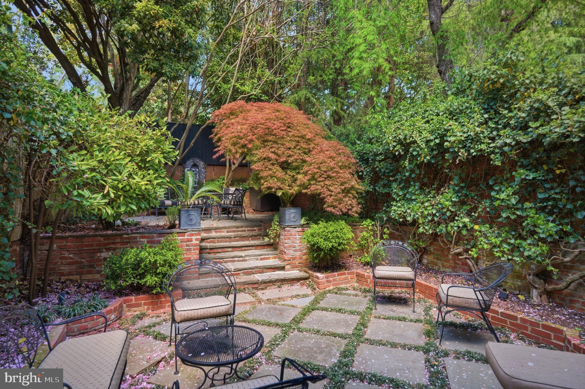 2815 Q Street Northwest Washington, DC 20007 - Photo 29 of 32 a backyard with table and chairs potted plants and a large tree