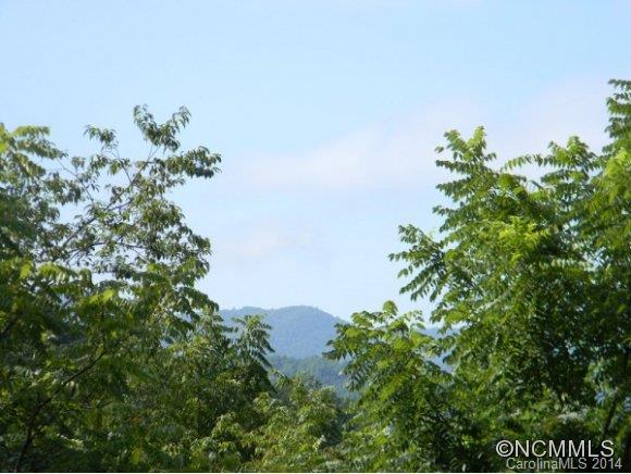 225 Buzzard's Roost Road Cullowhee, NC 28723 - Photo 10 of 10 Gallery Image 10
