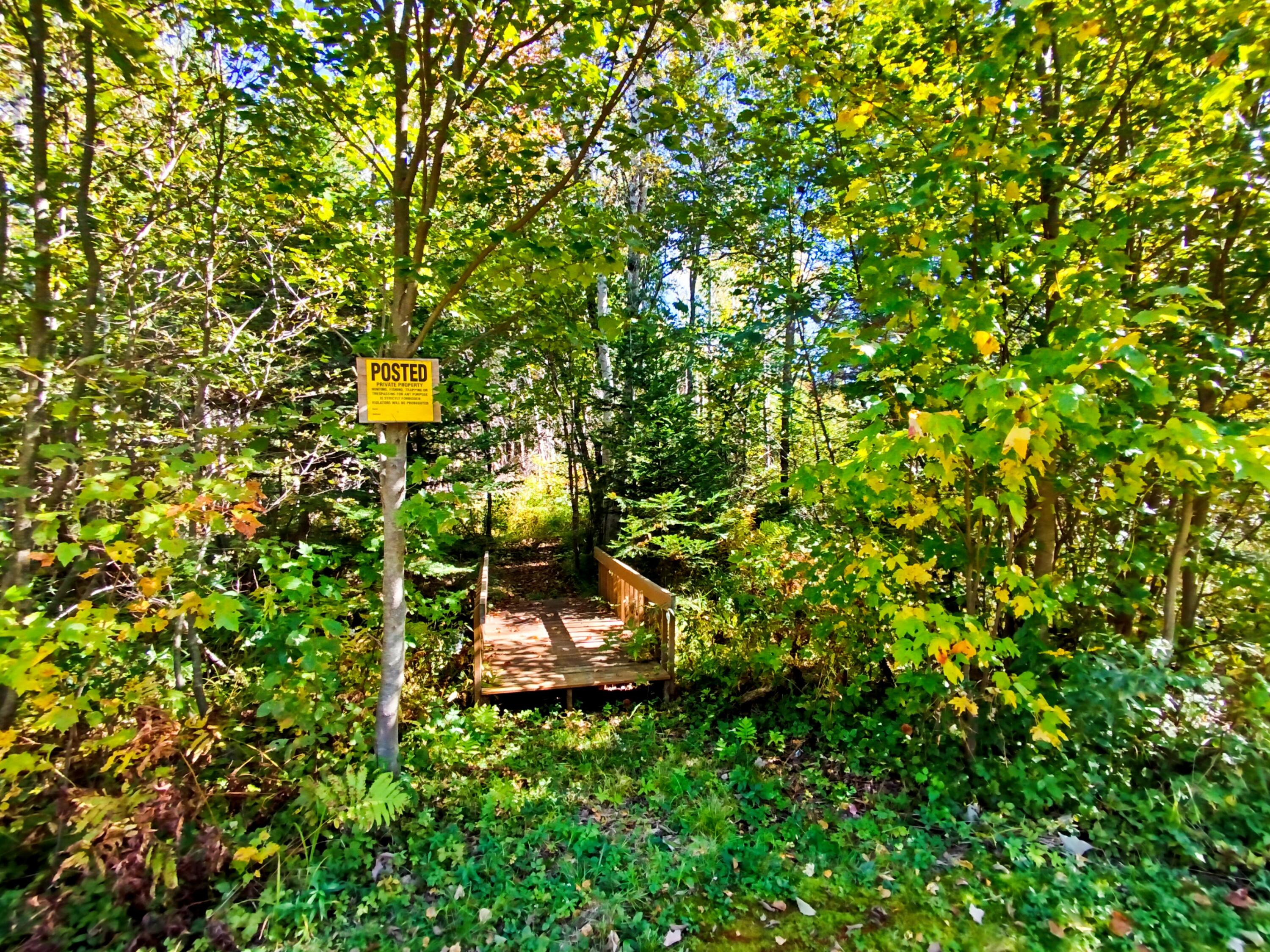 717 Crystal Road Crystal, ME 04747 - Photo 75 of 100