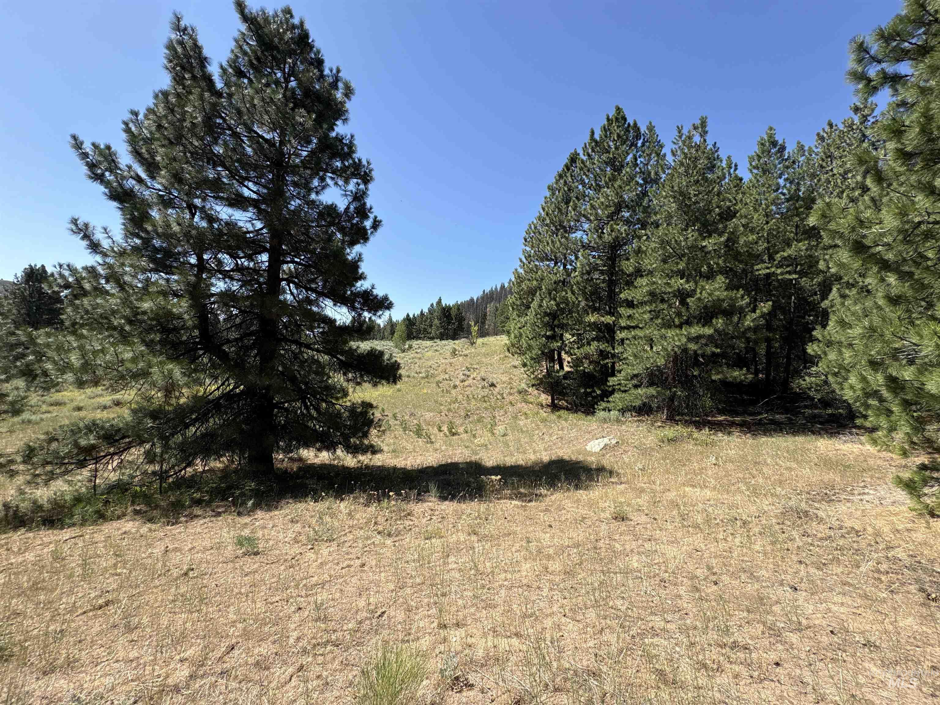 Tbd Smith Creek Road Mountain Home, ID 83647 - Photo 4 of 19