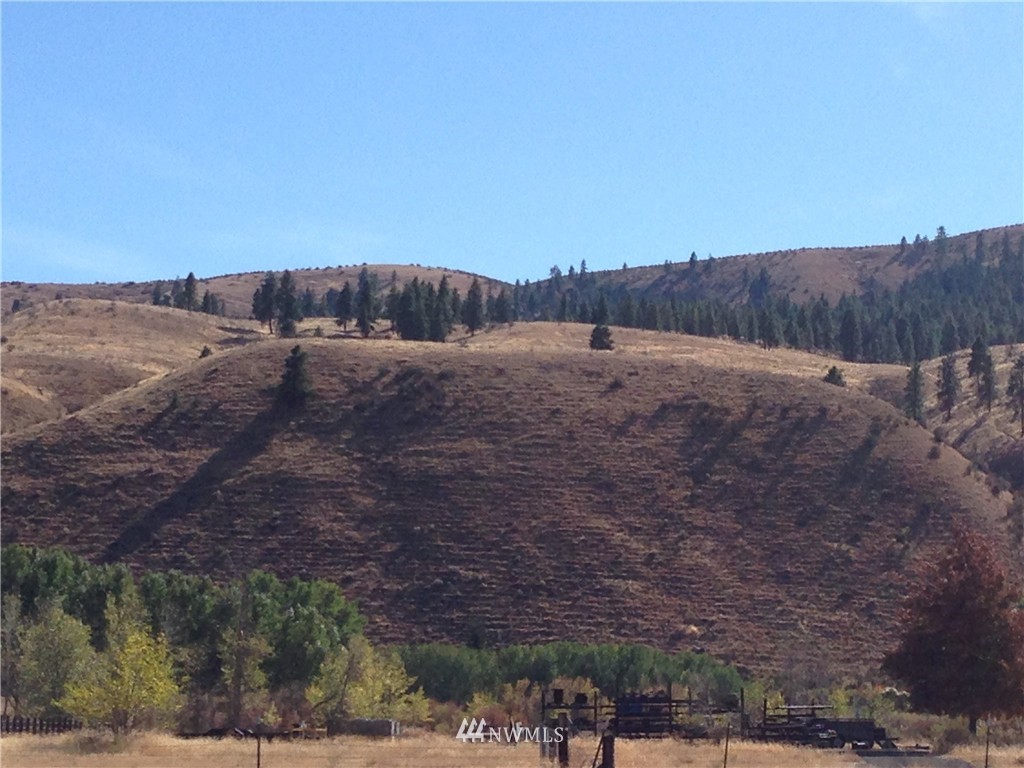 6450 Manastash Road Ellensburg, WA 98926 - Photo 5 of 25 Gallery Image 5