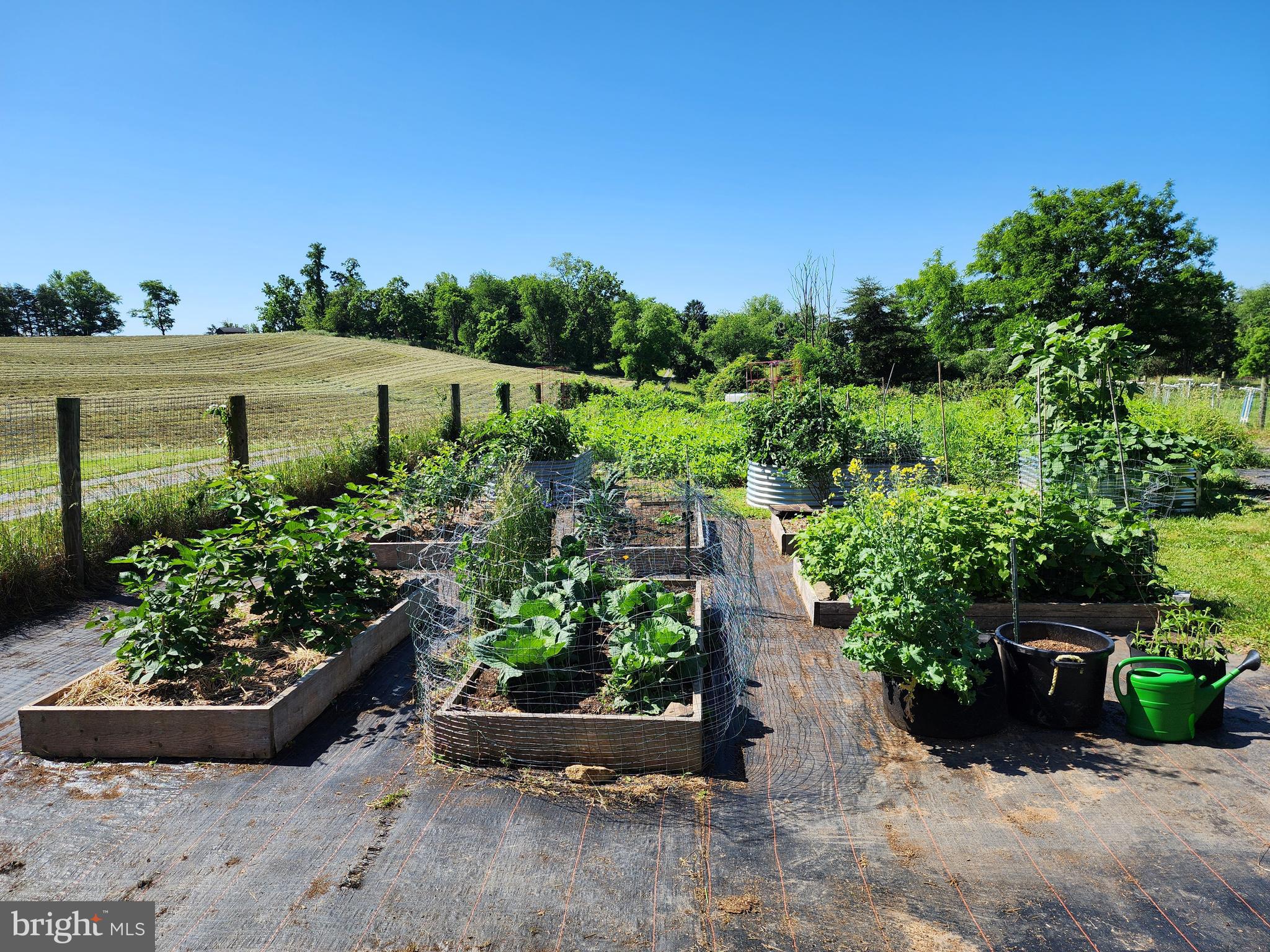 14816 Falling Waters Road Williamsport, MD 21795 - Photo 118 of 129 Raised Garden Beds