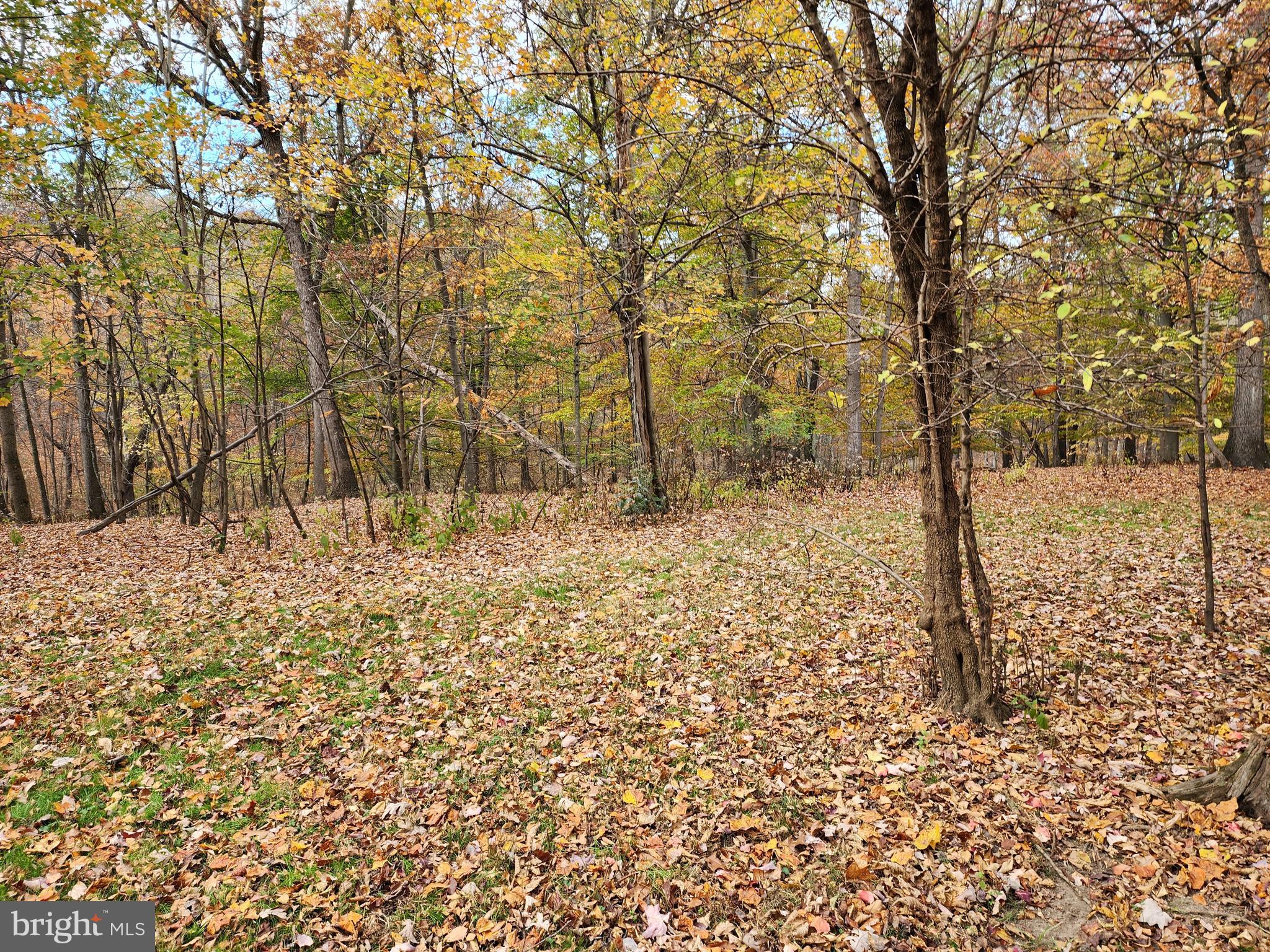 14816 Falling Waters Road Williamsport, MD 21795 - Photo 87 of 129 Beautiful Serene Woods