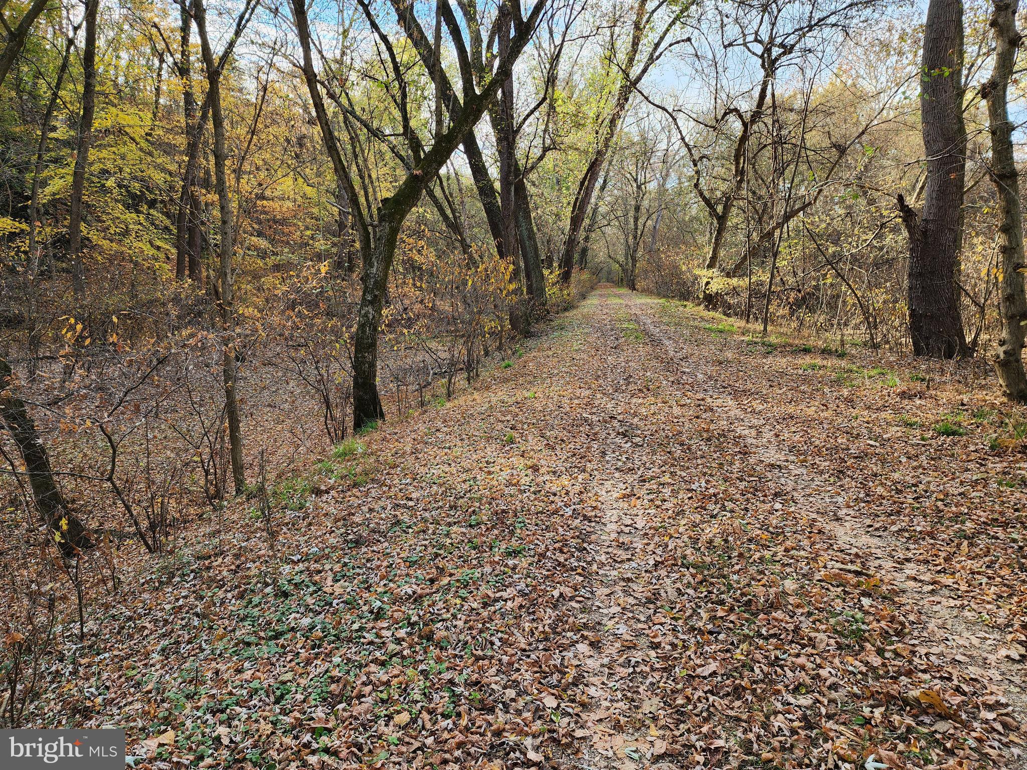 14816 Falling Waters Road Williamsport, MD 21795 - Photo 89 of 129 Historic C & O Canal Towpath - Hike & Bike