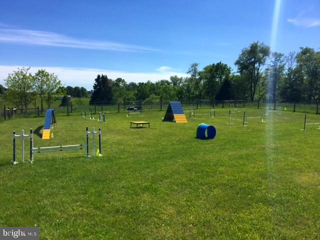 14816 Falling Waters Road Williamsport, MD 21795 - Photo 92 of 129 Agility Dog Training Equipment
