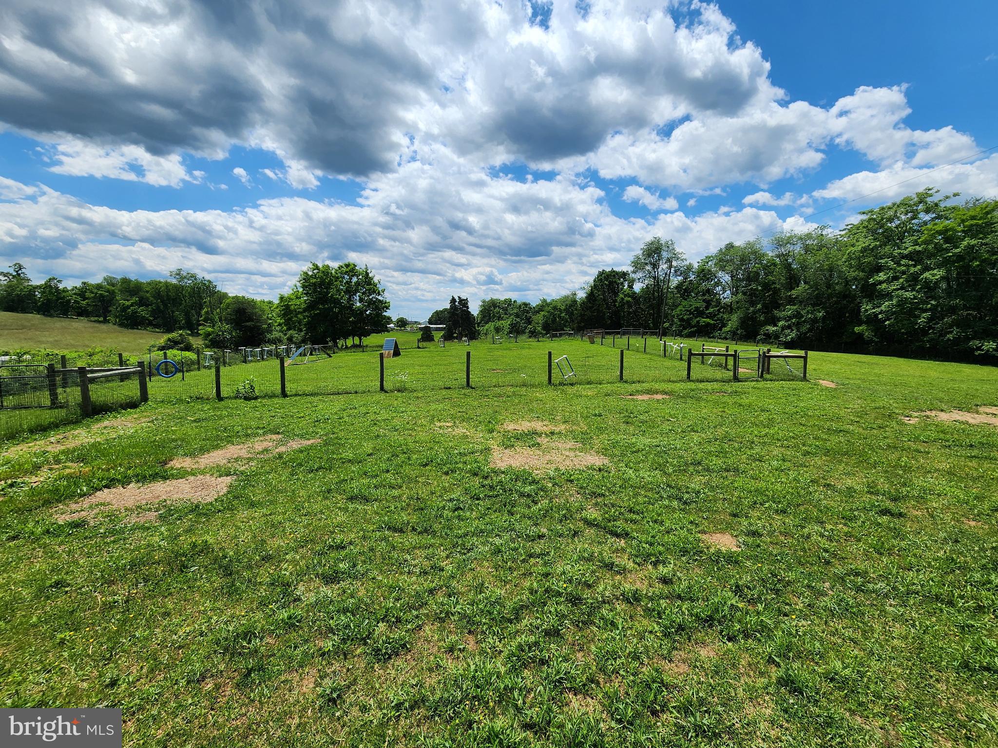 14816 Falling Waters Road Williamsport, MD 21795 - Photo 95 of 129 Fenced Pasture