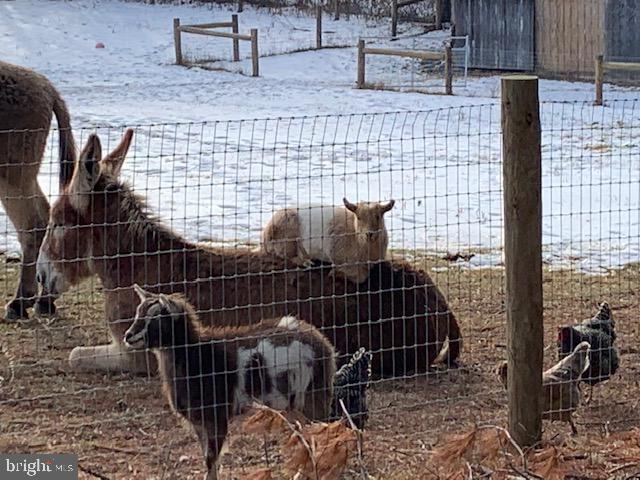 14816 Falling Waters Road Williamsport, MD 21795 - Photo 100 of 129 It's Winter But The Gang's All Here!