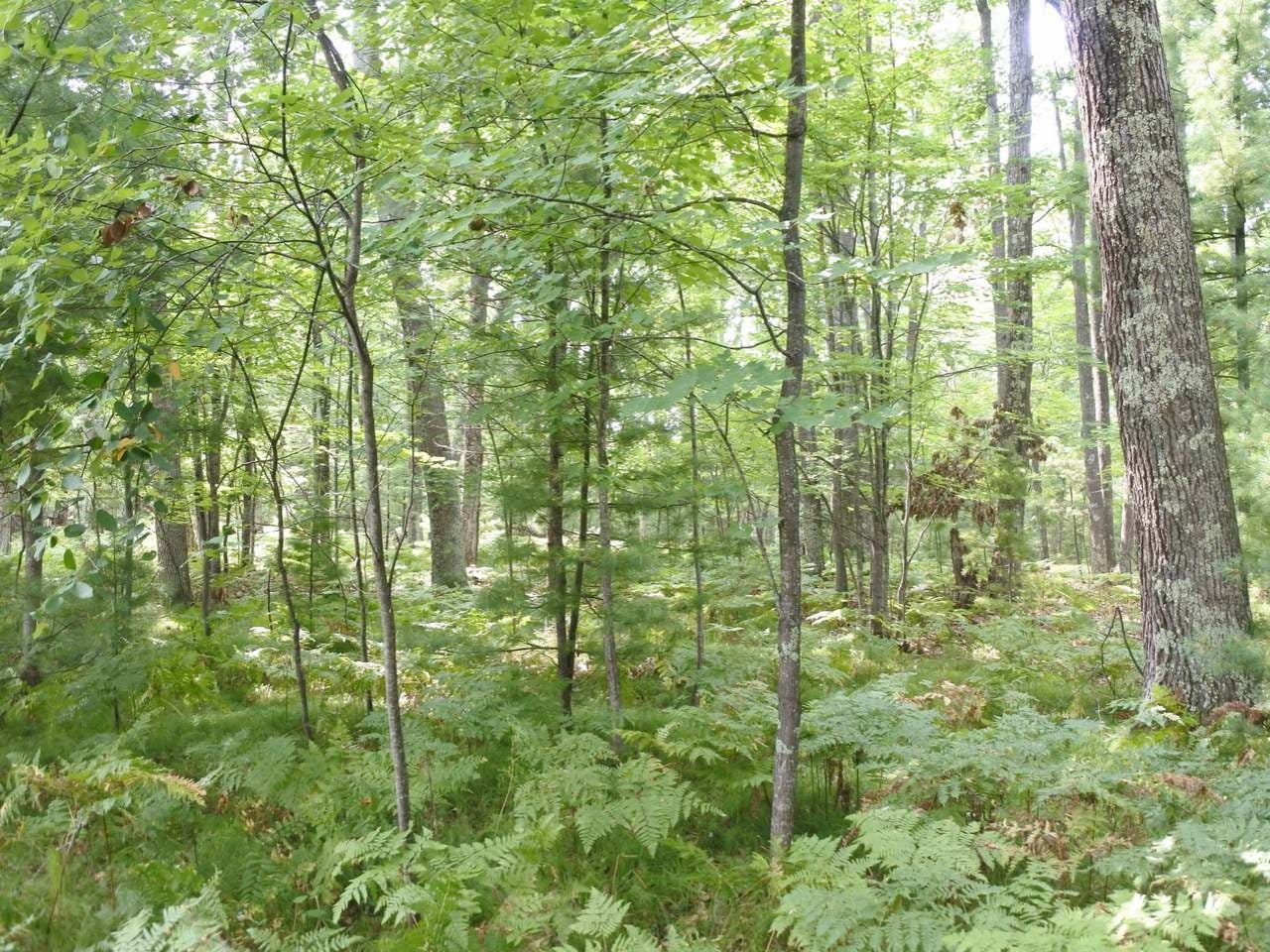 Lot A Egtvedt Road Woodruff, WI 54568 - Photo 12 of 30 Gallery Image 12