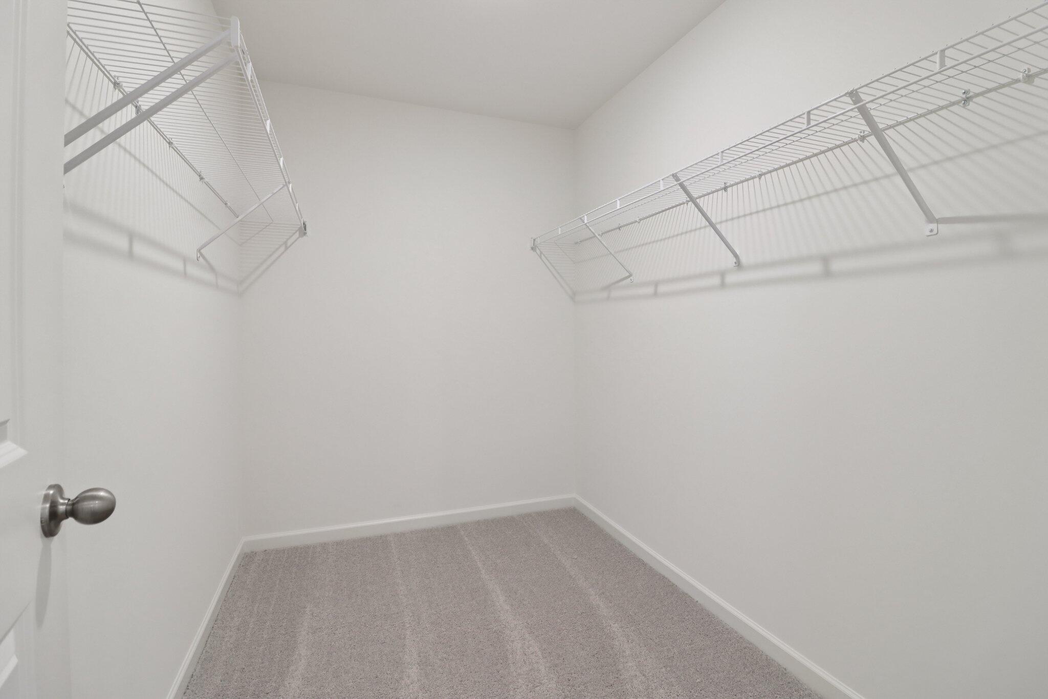 473 Colchester Court Moncks Corner, SC 29461 - Photo 19 of 30 SL_Cosmos_Primary_Closet_ab