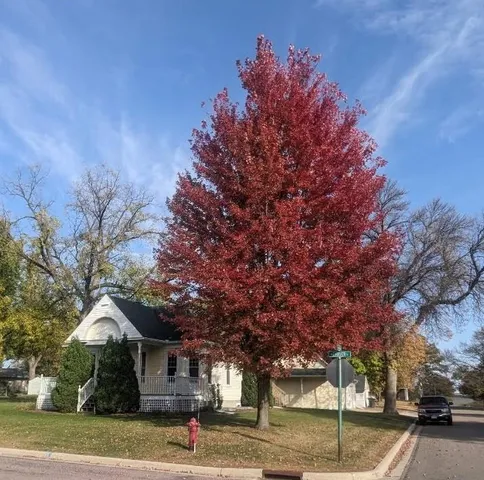 $239,900 | 801 Carver Street North, Winthrop, MN 55396