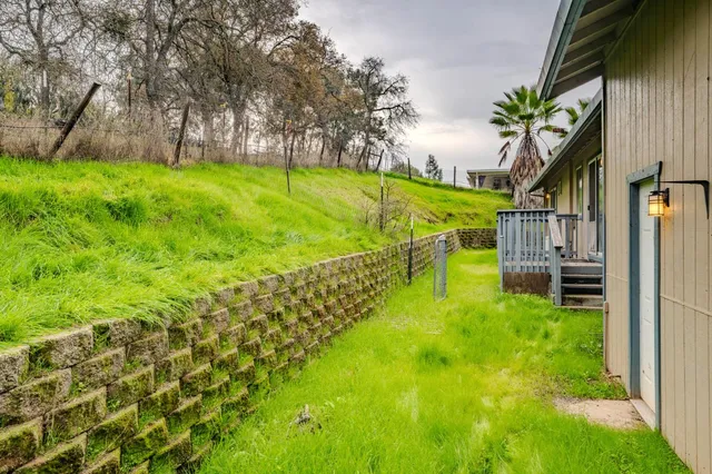 a brick house with a small yard plants and large trees