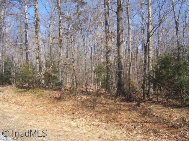 Lot 4 Merrells Lake Road Mocksville, NC 27028 - Photo 1 of 5 Exterior Front.
