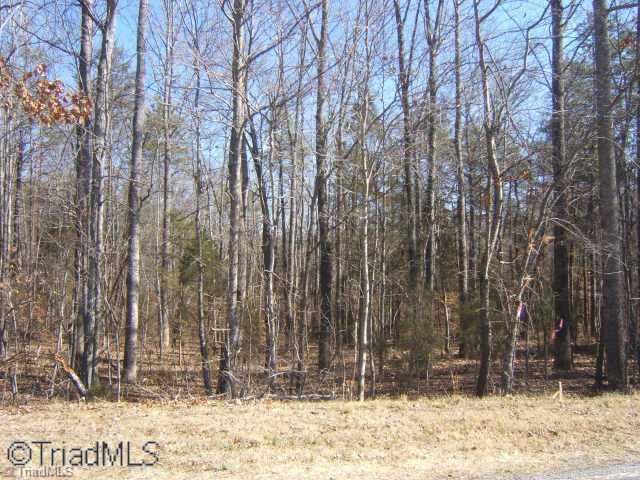 Lot 4 Merrells Lake Road Mocksville, NC 27028 - Photo 5 of 5 Other.