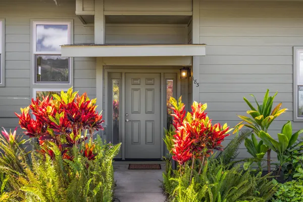 a flower in a yard with potted plants