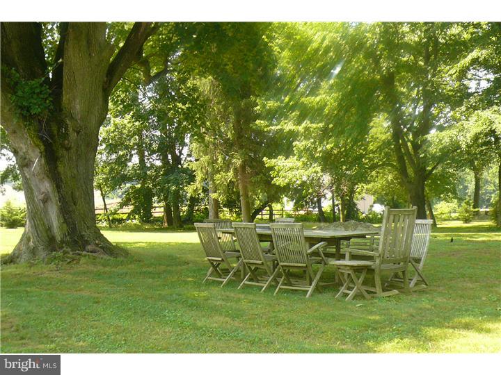 109 State Road Avondale, PA 19311 - Photo 15 of 25 Side Yard