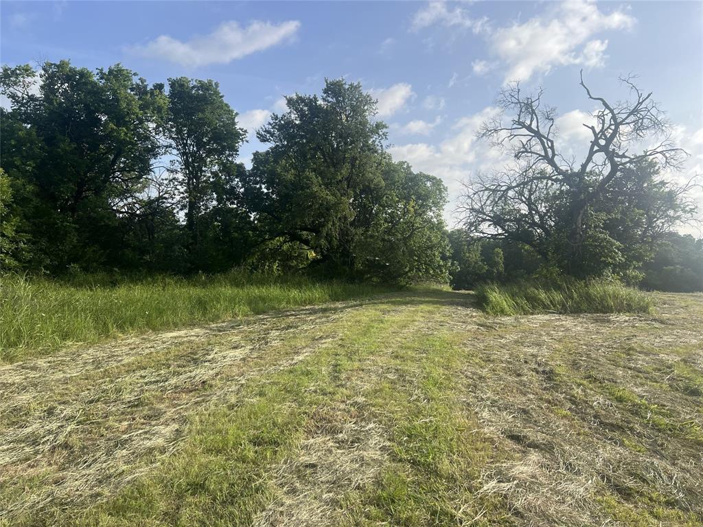 Seven Seven Oaks Road Bonham, TX 75418 - Photo 11 of 21