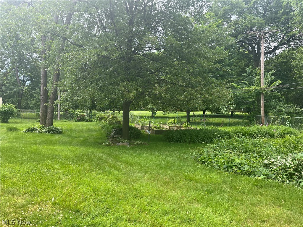 934 Herrick Road Cleveland, OH 44108 - Photo 4 of 9 View of yard