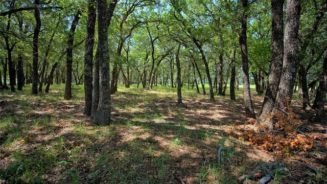 a view of outdoor space with trees