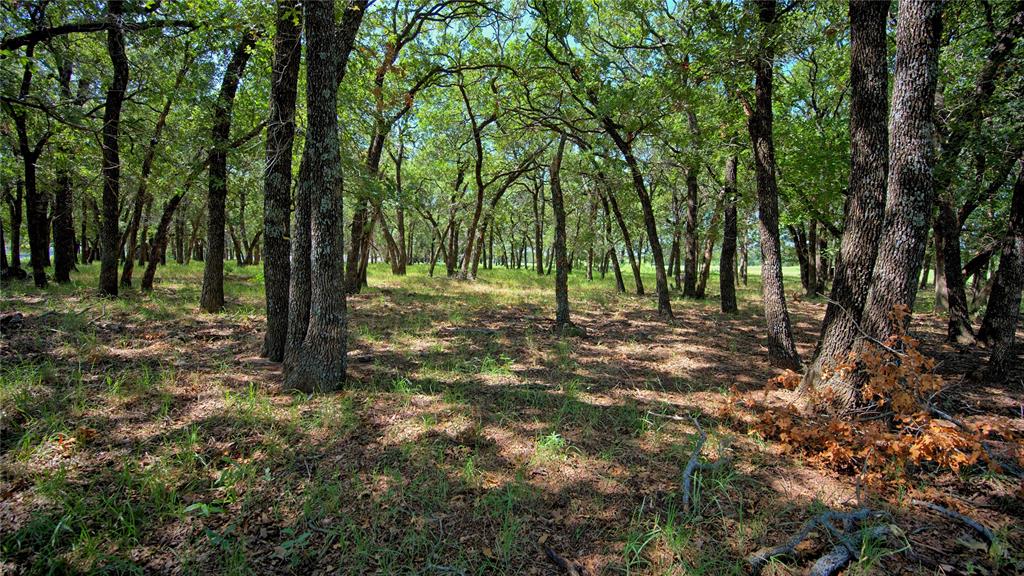 8752 Fm 1749 Sunset, TX 76270 - Photo 12 of 40 a view of outdoor space with trees