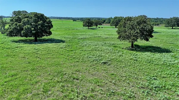 a view of a garden with a houses