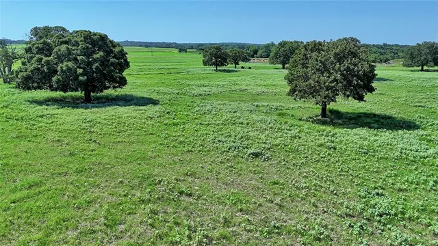 a view of a garden with a houses